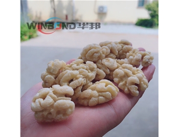 試機(jī)----全自動(dòng)去皮生產(chǎn)流水線