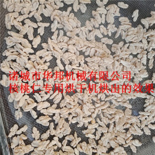 大產(chǎn)量核桃仁烘干機