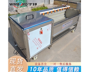 全自動(dòng)土豆去皮機(jī) 土豆毛輥去皮清洗機(jī) 型號(hào)齊全