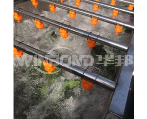 速凍蔬菜加工流水線 香菇漂燙機(jī) 廠家定制