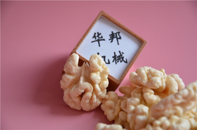 脫衣核桃仁設(shè)備 自動核桃仁去皮機(jī) 華邦研發(fā)生產(chǎn)