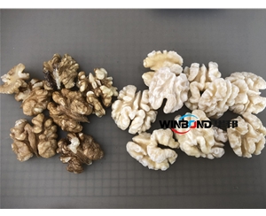 核桃仁深加工設備 純物理 核桃仁去皮機