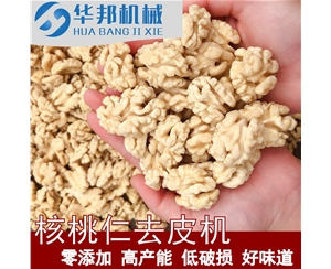 核桃仁去皮機(jī) 脫皮率98%