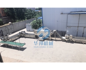 華邦機(jī)械核桃仁去皮機(jī) 脫皮率是多少